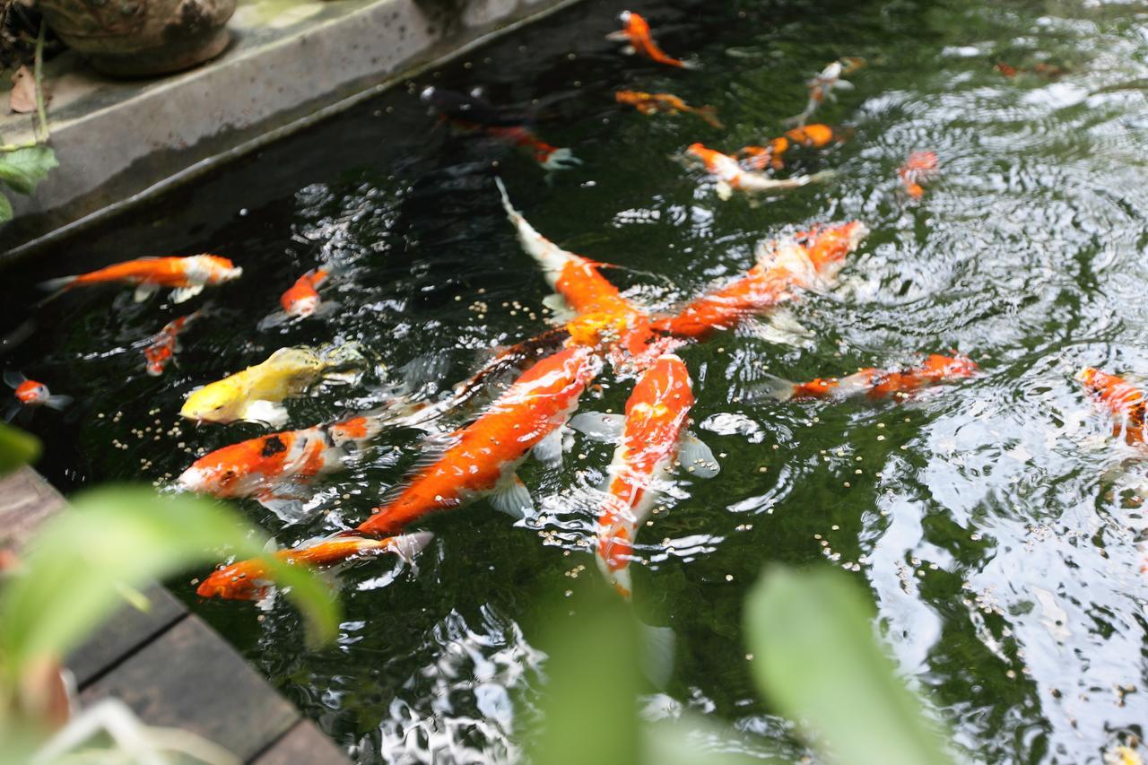 Serene 3* Bangkok